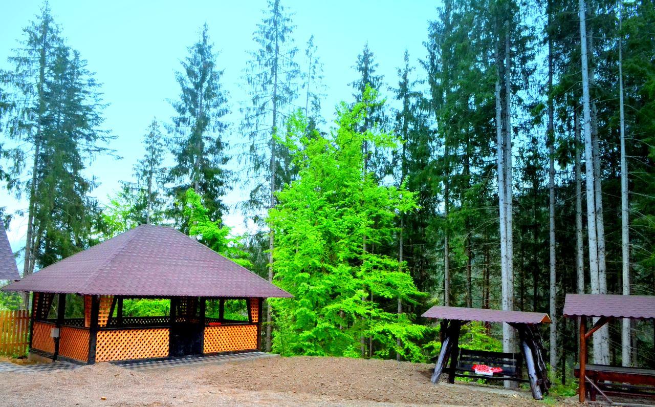 Pensiunea Vatra Bucovinei Vatra Moldovitei Exterior photo
