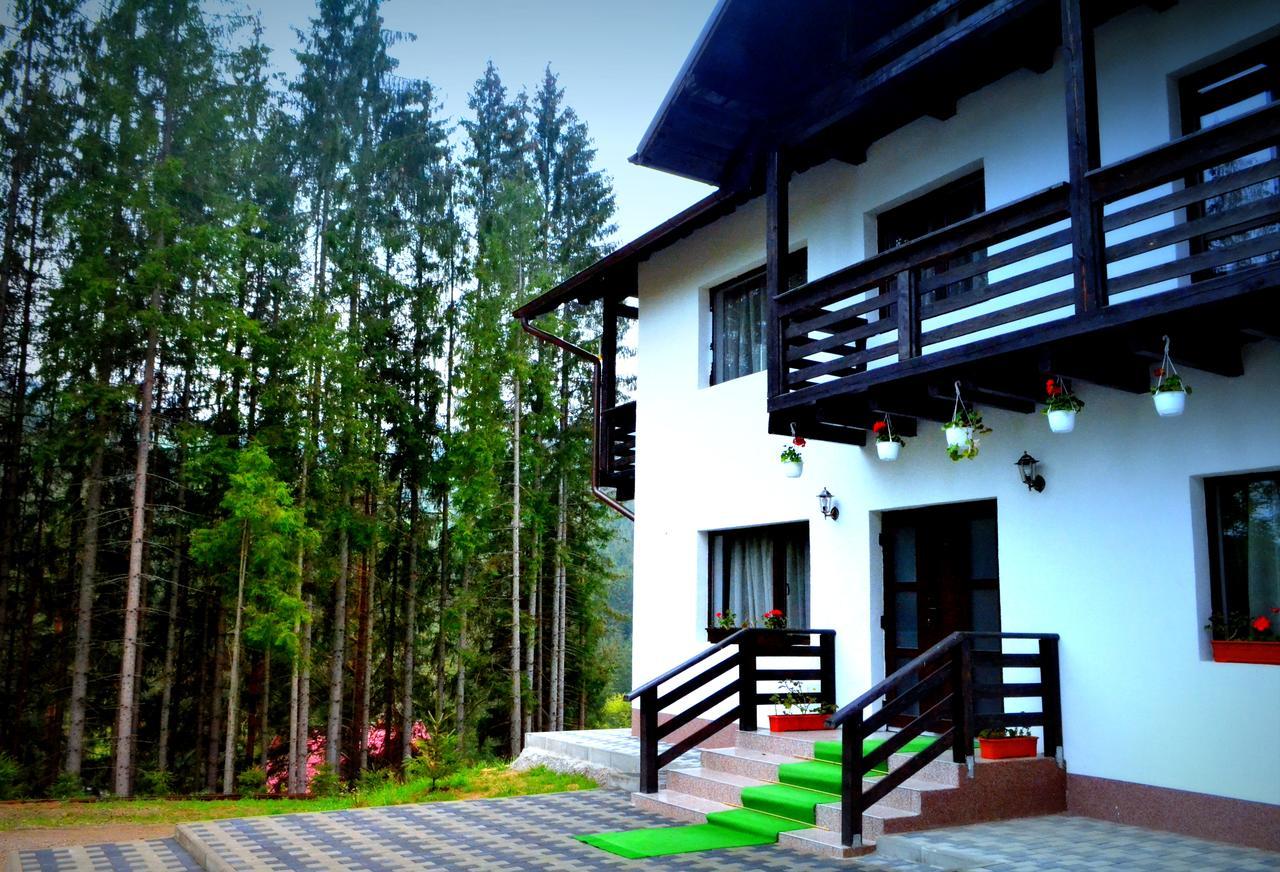 Pensiunea Vatra Bucovinei Vatra Moldovitei Exterior photo